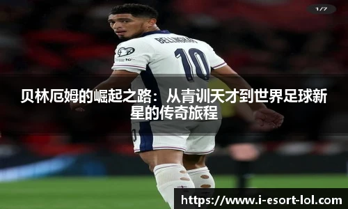 LOL押注正规平台