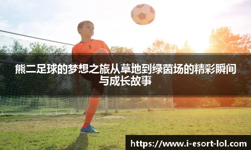 熊二足球的梦想之旅从草地到绿茵场的精彩瞬间与成长故事